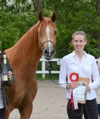 EDEN ESTANCJA; Silver Champion Mare &amp; Classwinner